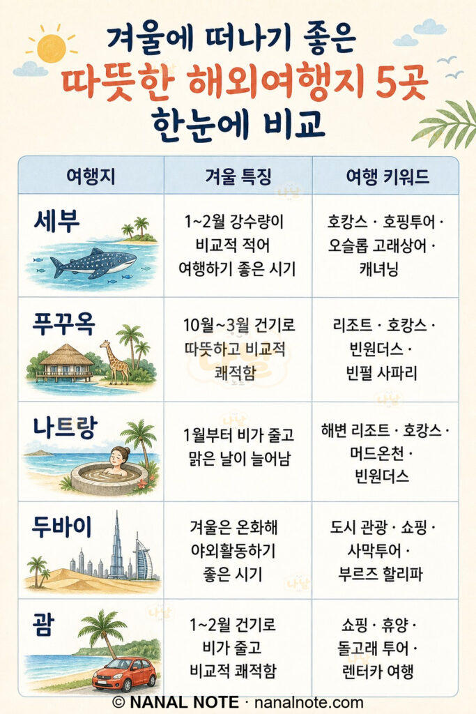 겨울에 떠나기 좋은 따뜻한 해외여행지 5곳 비교표